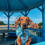 Dog Adjustable Harness - Disney's Cinderella