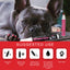 Polish Pen Bundle - Basics