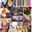 Pawdicure Polish Pens - 13 Pen Bundle