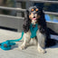 Dog Adjustable Harness - Napa