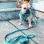 Dog Adjustable Harness - Napa
