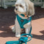 Dog Collar - Napa