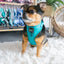 Dog Adjustable Harness - Napa