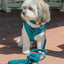 Dog Leash - Napa
