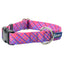 Neon Sunrise Pink Plaid Dog Collar – EarthStyle