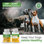 Hip & Joint Advanced Formula - 90 Mobility & Dog Joint Pain Relief Chews - Glucosamine, Chondroitin, MSM, & Turmeric for Superior Joint Health