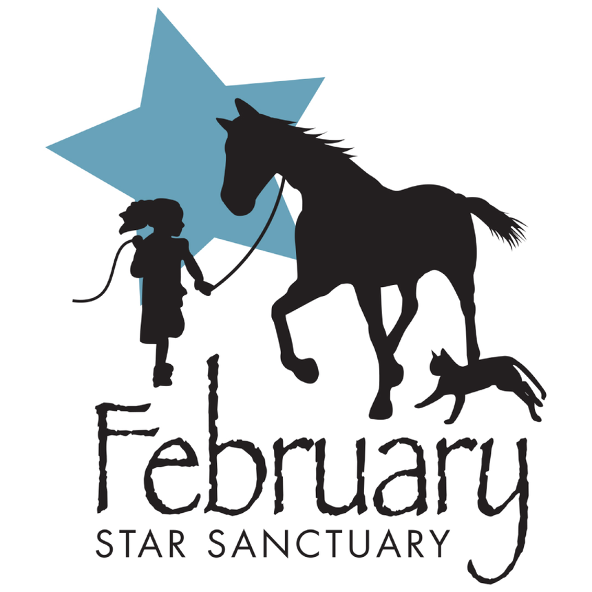 February Star Sanctuary