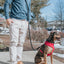Hands Free Rope Leash - Noir