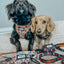 Dog Adjustable Harness - STAR WARS™ The Rebel Alliance