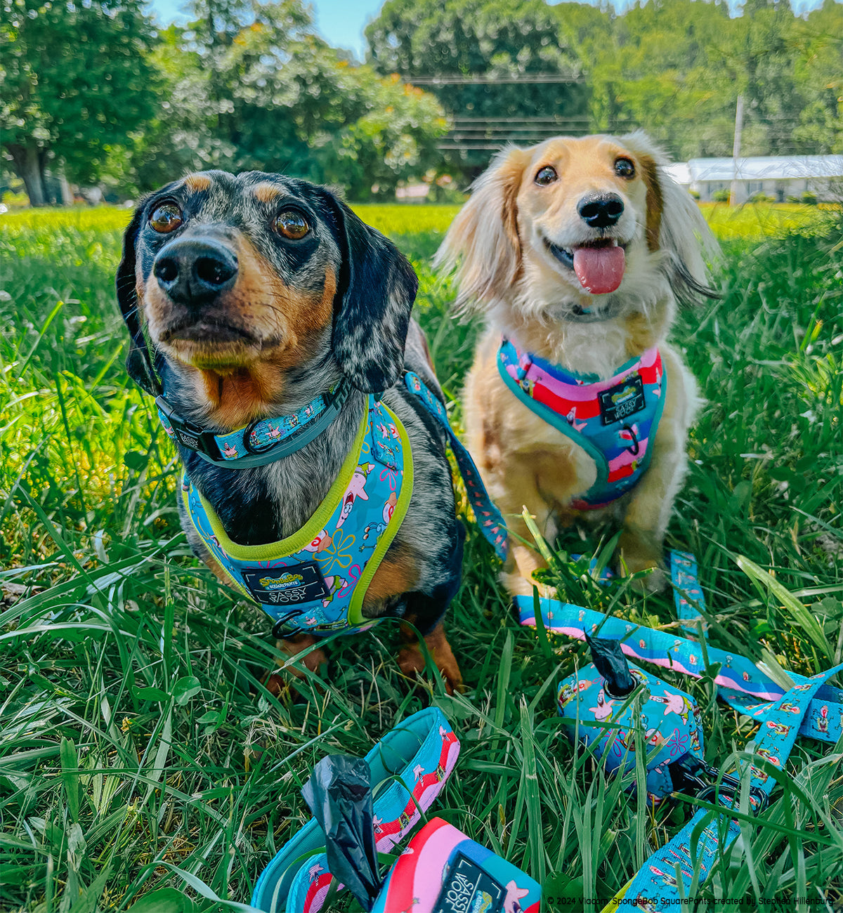 Dog Adjustable Harness - SpongeBob SquarePants™ and Friends