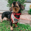 Dog Collar - Harry Potter™ Marauder's Map™