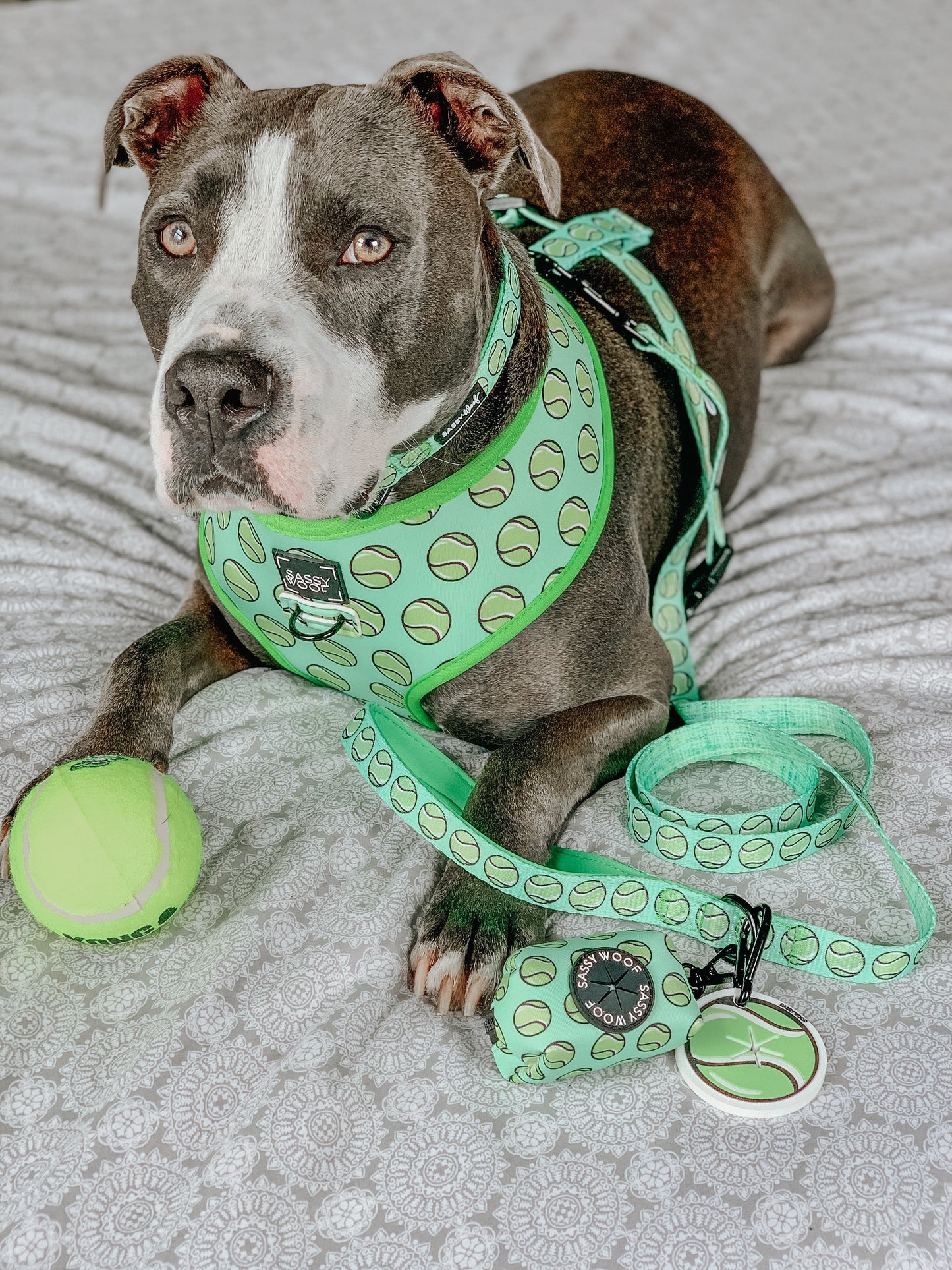 Dog Reversible Harness - Serving Up Sass