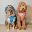 Dog Adjustable Harness - KEN™