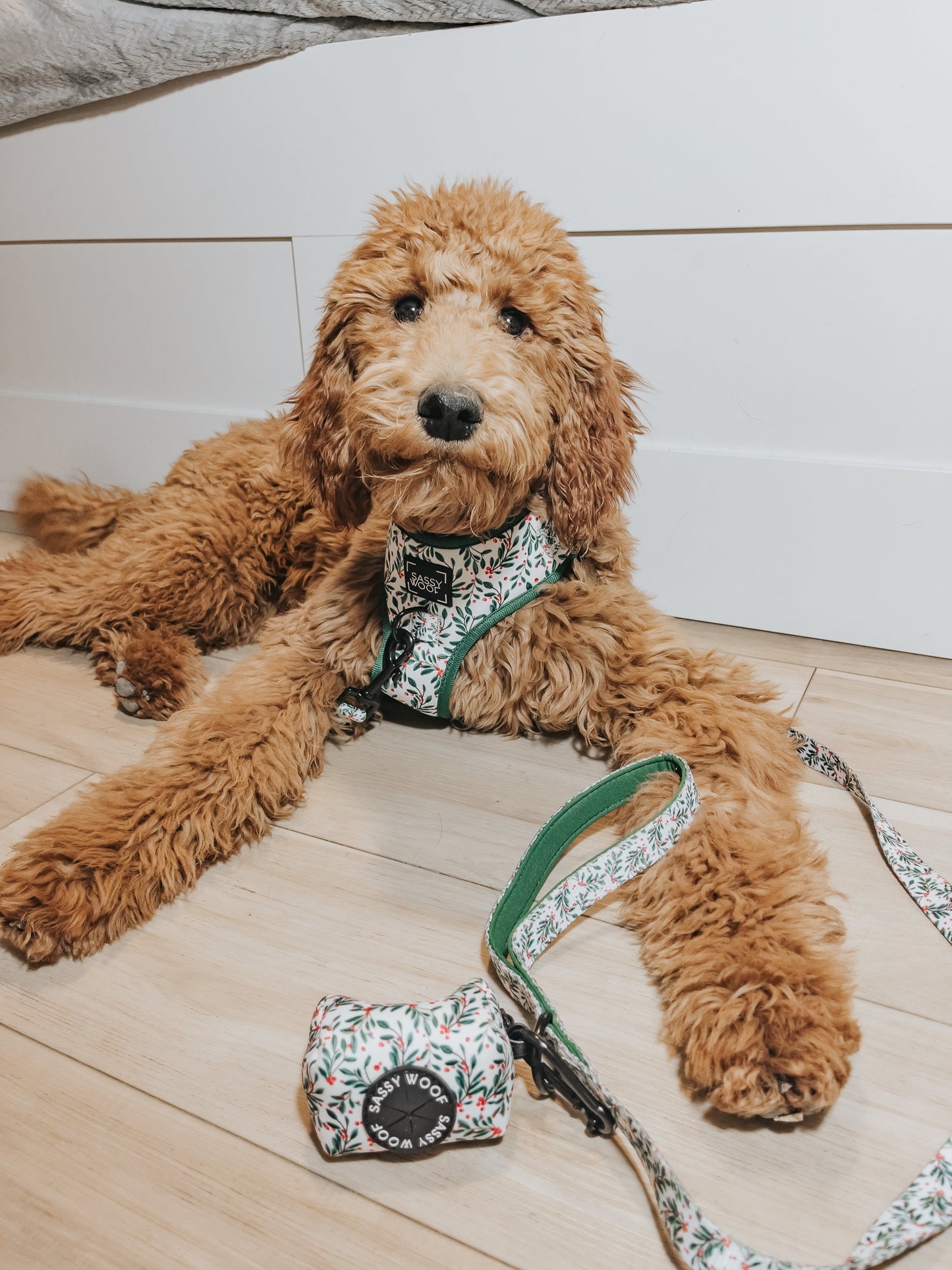 Dog Adjustable Harness - Under the Mistletoe