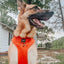Dog Adjustable Harness - Foxy