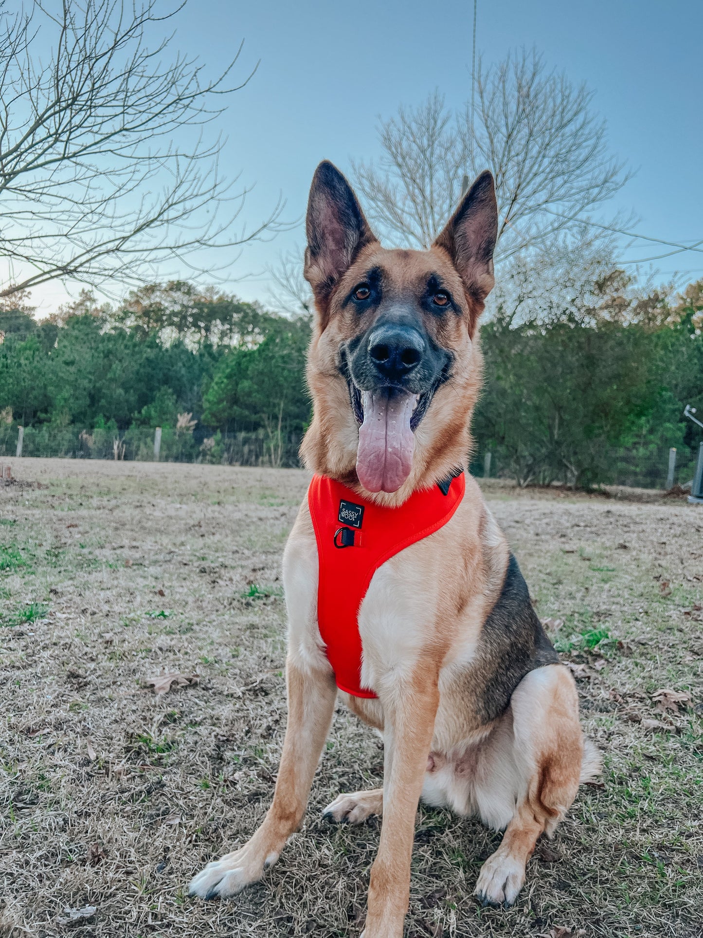 Dog Adjustable Harness - Neon Red