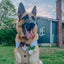 Dog Adjustable Harness - Best Pup