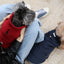 Reversible Dog Vest Jacket - Red
