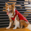 Pet Sweater Vest - Red