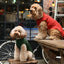 Pet Sweater Vest - Green