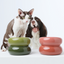Soufflé Pet Bowl - Avocado Green