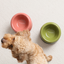 Soufflé Pet Bowl - Rose Pink