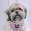 Dog Adjustable Harness - Tea Pawty