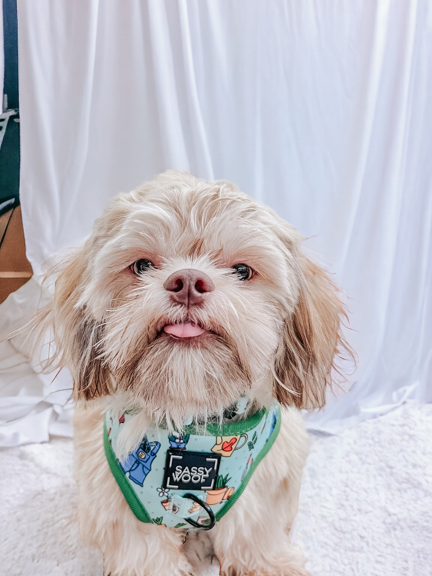 Dog Adjustable Harness - Chillin with my Gnomies