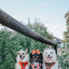 Dog Adjustable Harness - Foxy