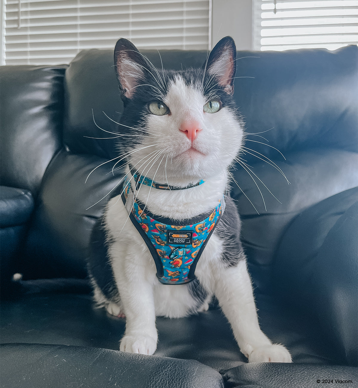 Cat Step-In Harness - Nickelodeon CatDog™