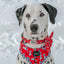Dog Collar - Disney's 101 Dalmatians