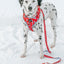 Dog Adjustable Harness - Disney's 101 Dalmatians