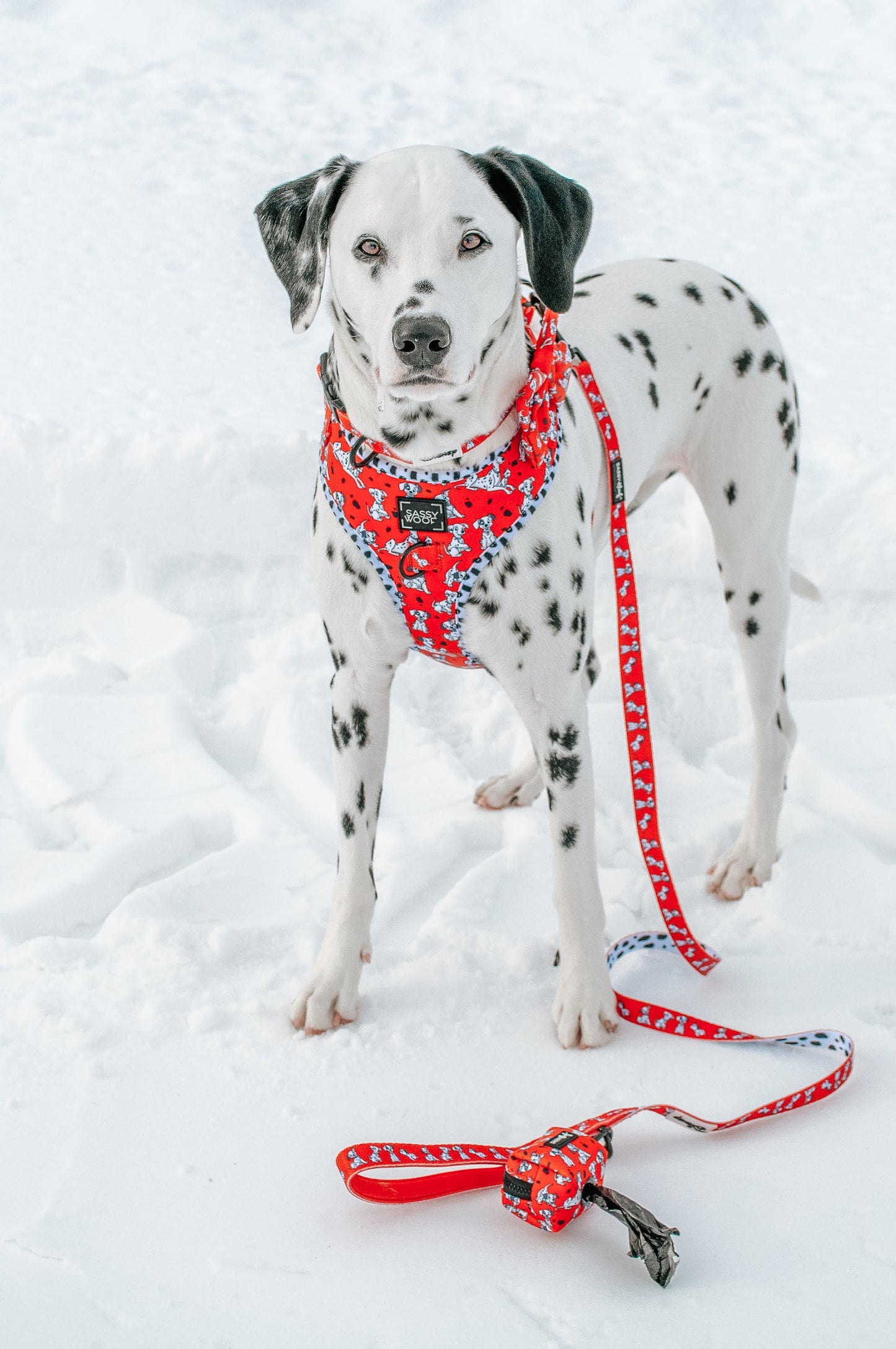 Dog Adjustable Harness - Disney's 101 Dalmatians