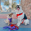 Dog Adjustable Harness - Neon Red