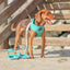 Dog Rope Leash - Ombre Teal