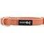 Dog Collar - Apple Cider