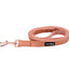 Dog Leash - Apple Cider