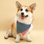 Park Day Denim Gingham Print Handmade Bandana
