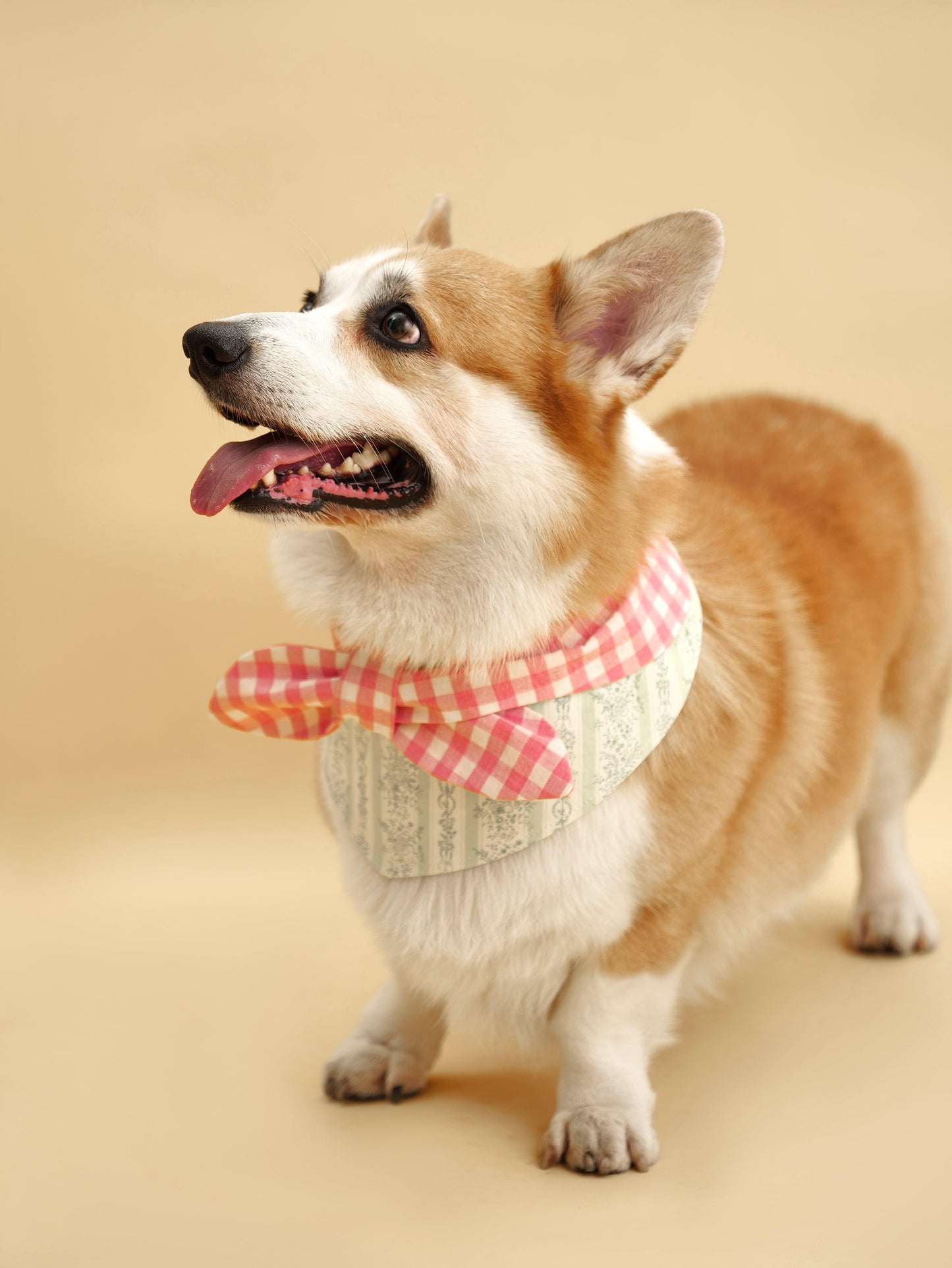 Picnic Bliss Floral Gingham Print Bandana