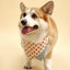Gingerbread Man Joy Handmade Bandana