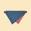Park Day Denim Gingham Print Handmade Bandana