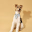 Blue Botanique Necktie Bandana