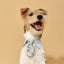 Blue Botanique Necktie Bandana