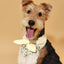 Bowtiful Garden Butter Yellow Floral Bandana