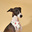 Strawberry Fields Butter Yellow Triangle Bandana