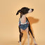 Reversible Denim Cherry Overalls Pet Bandana