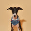 Reversible Denim Cherry Overalls Pet Bandana