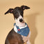 Reversible Denim Cherry Overalls Pet Bandana
