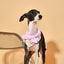 Bowtiful Garden Pink Floral Bandana