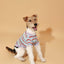Pet & Me Spring Summer Lavender Ruffle Crochet Short Sleeve Polo Shirt